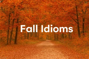 اصطلاحات پاییزی